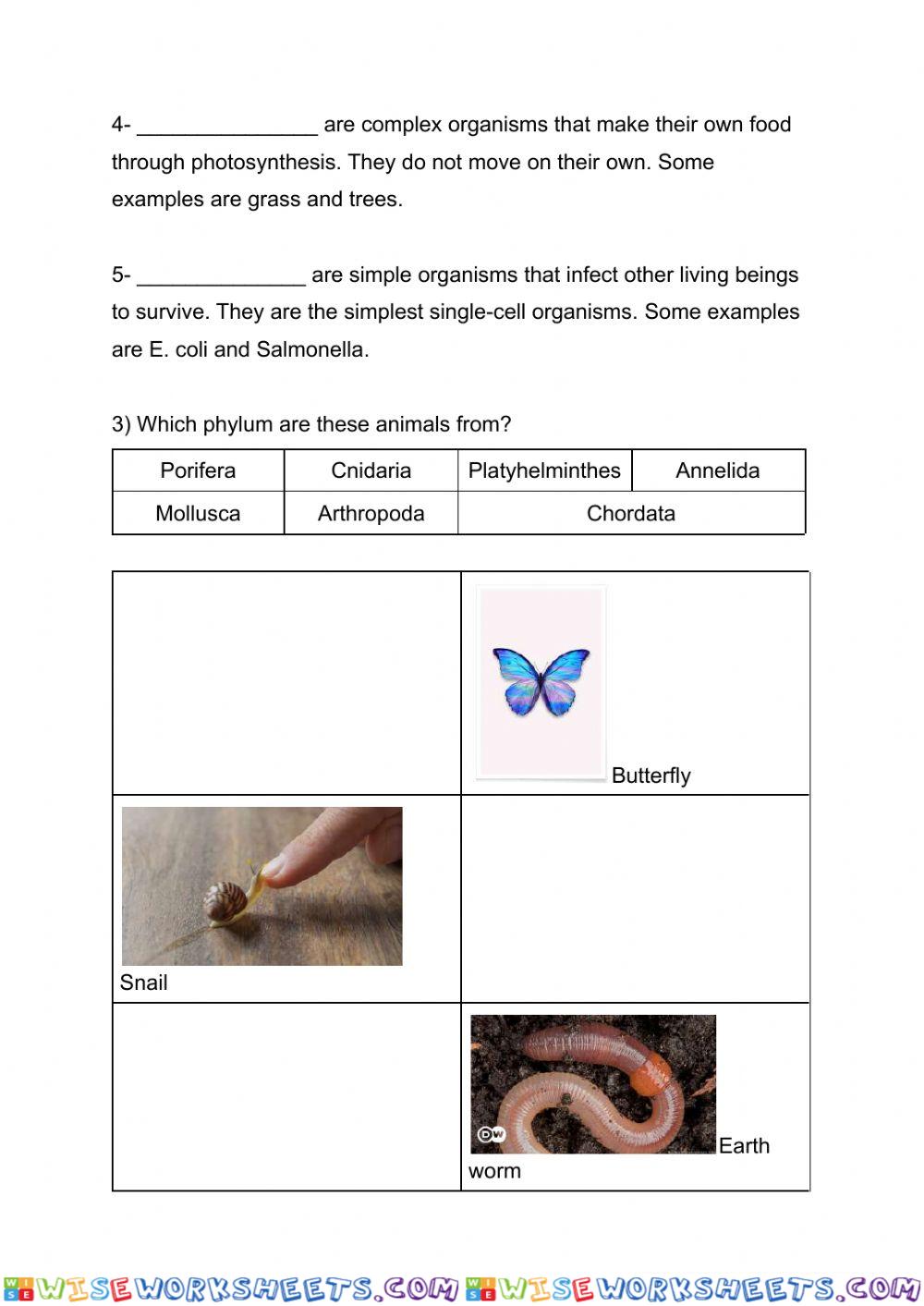 worksheet
