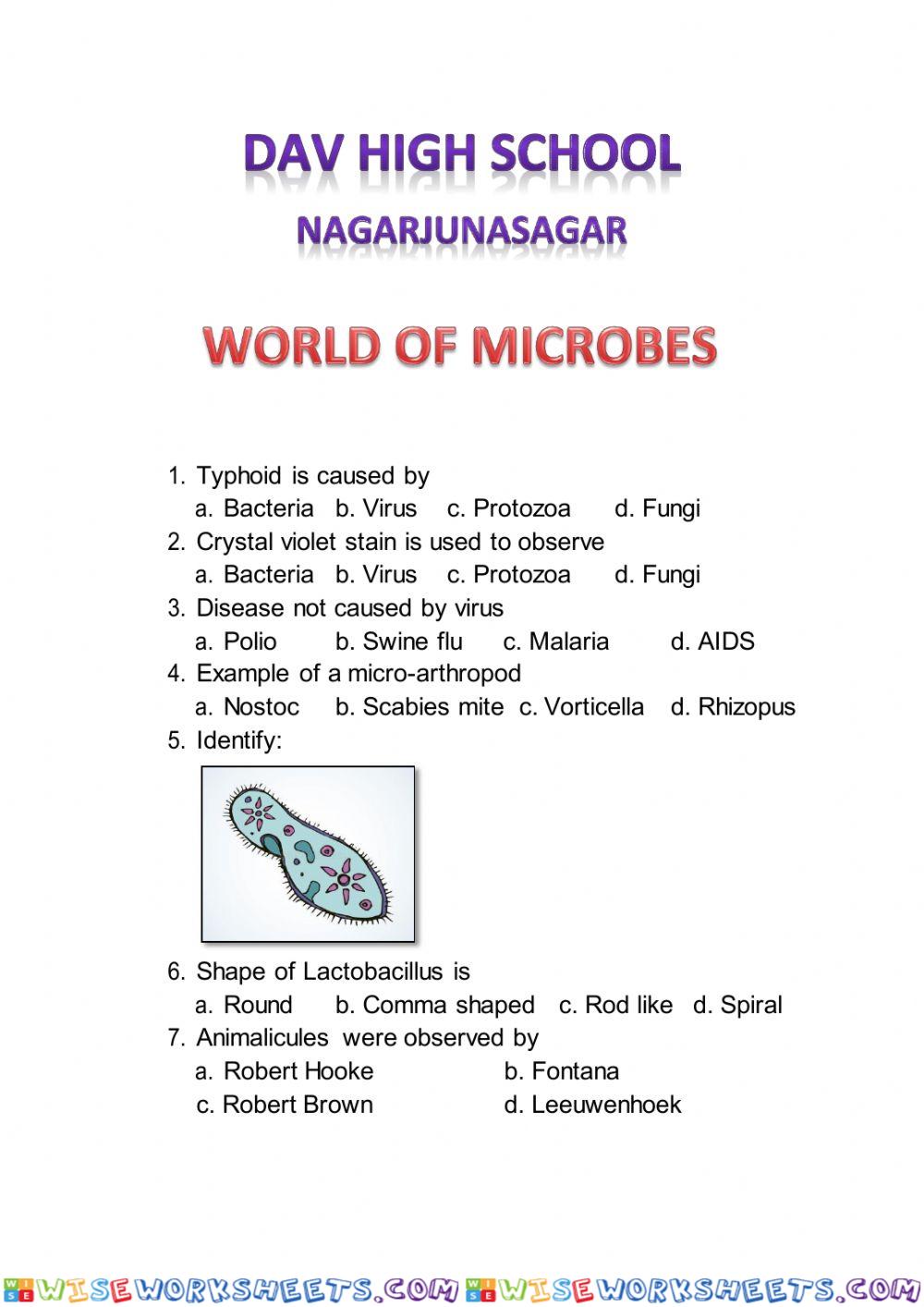 World of microbes