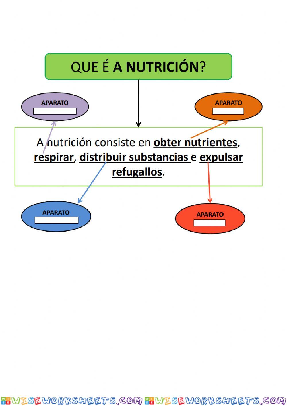 A nutrición