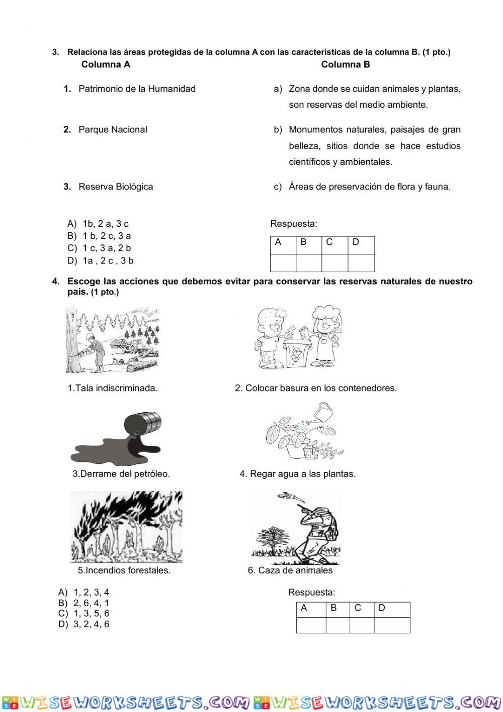 worksheet