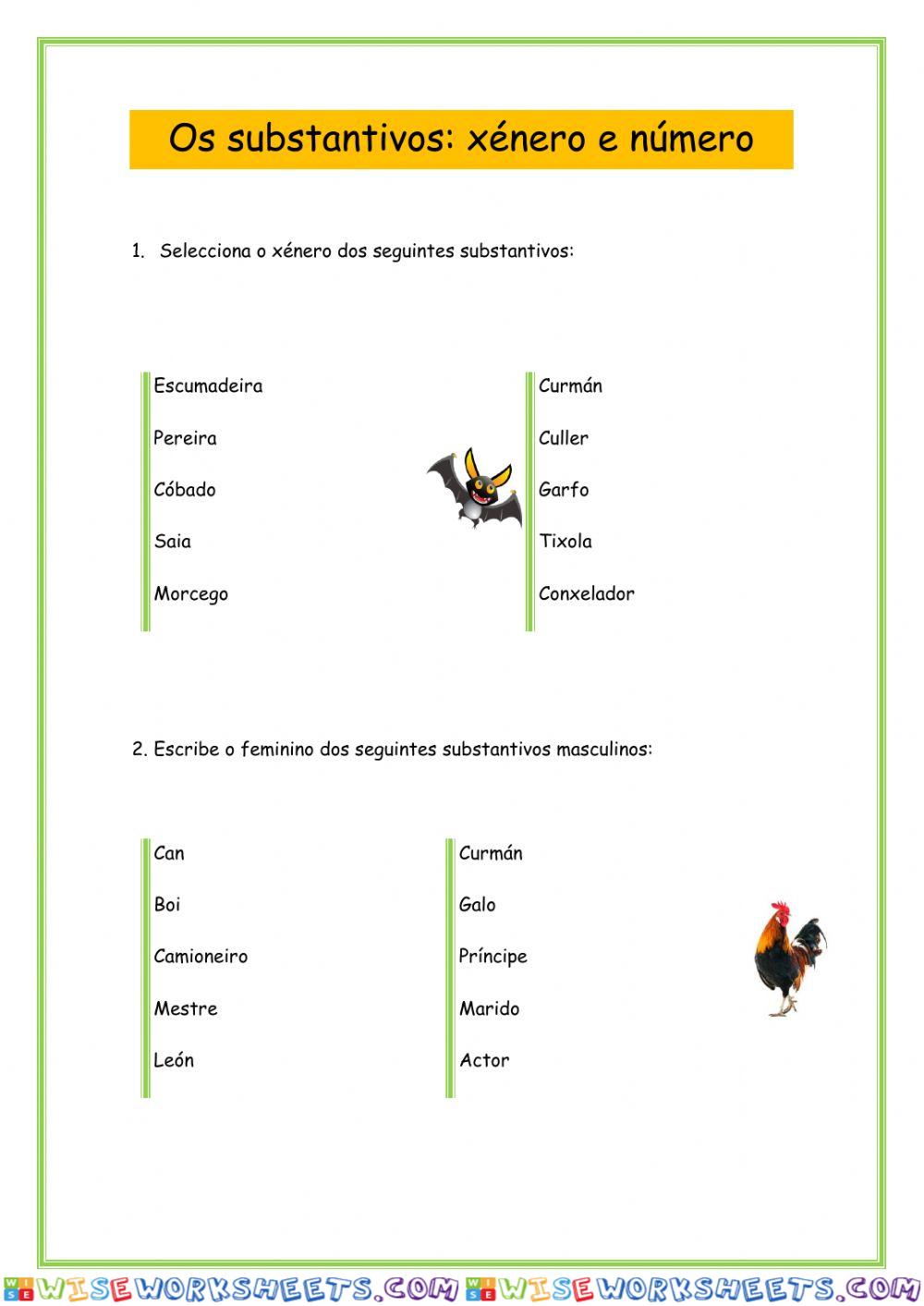 Os substantivos: xénero e número