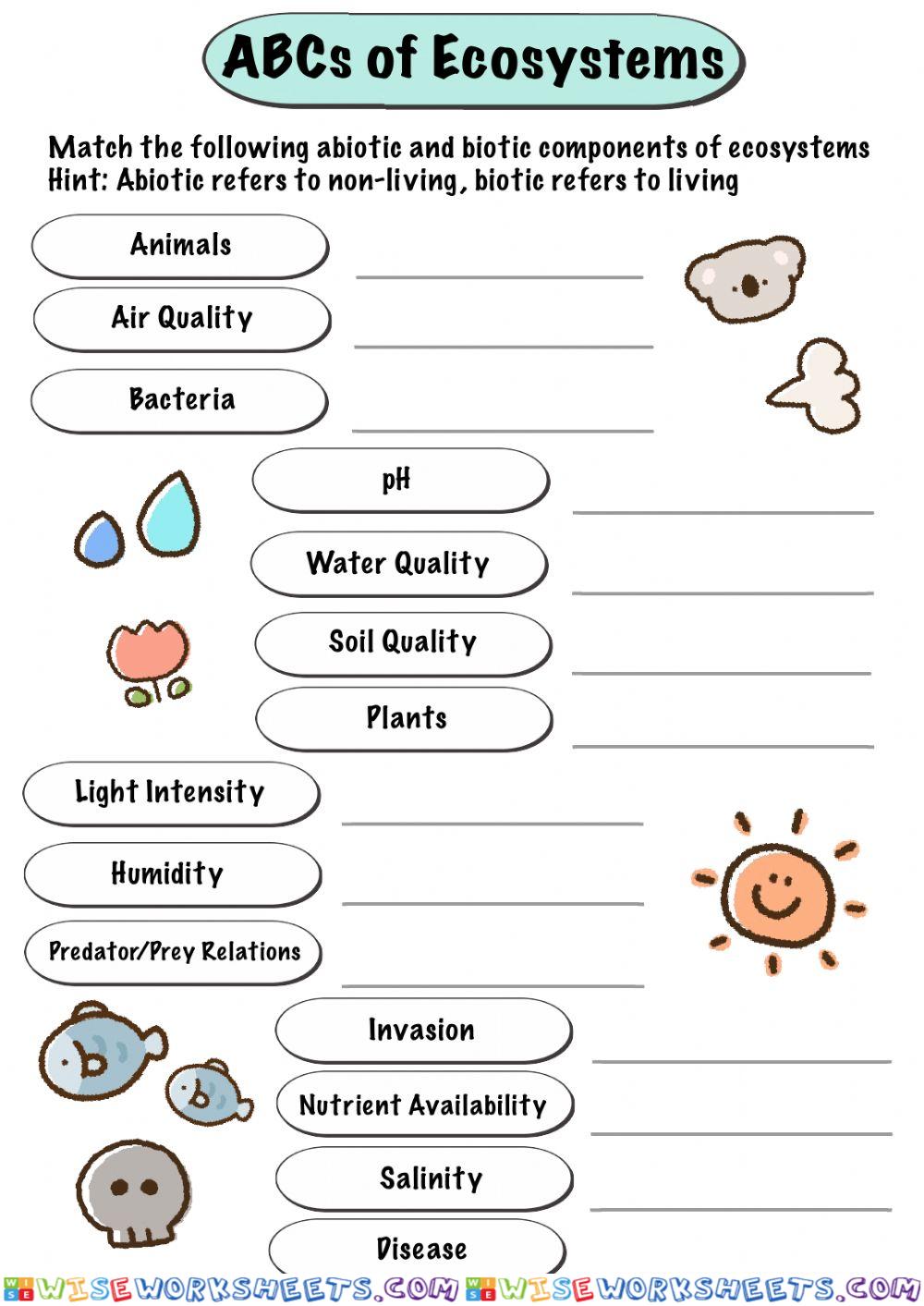 ABCs In Ecosystems