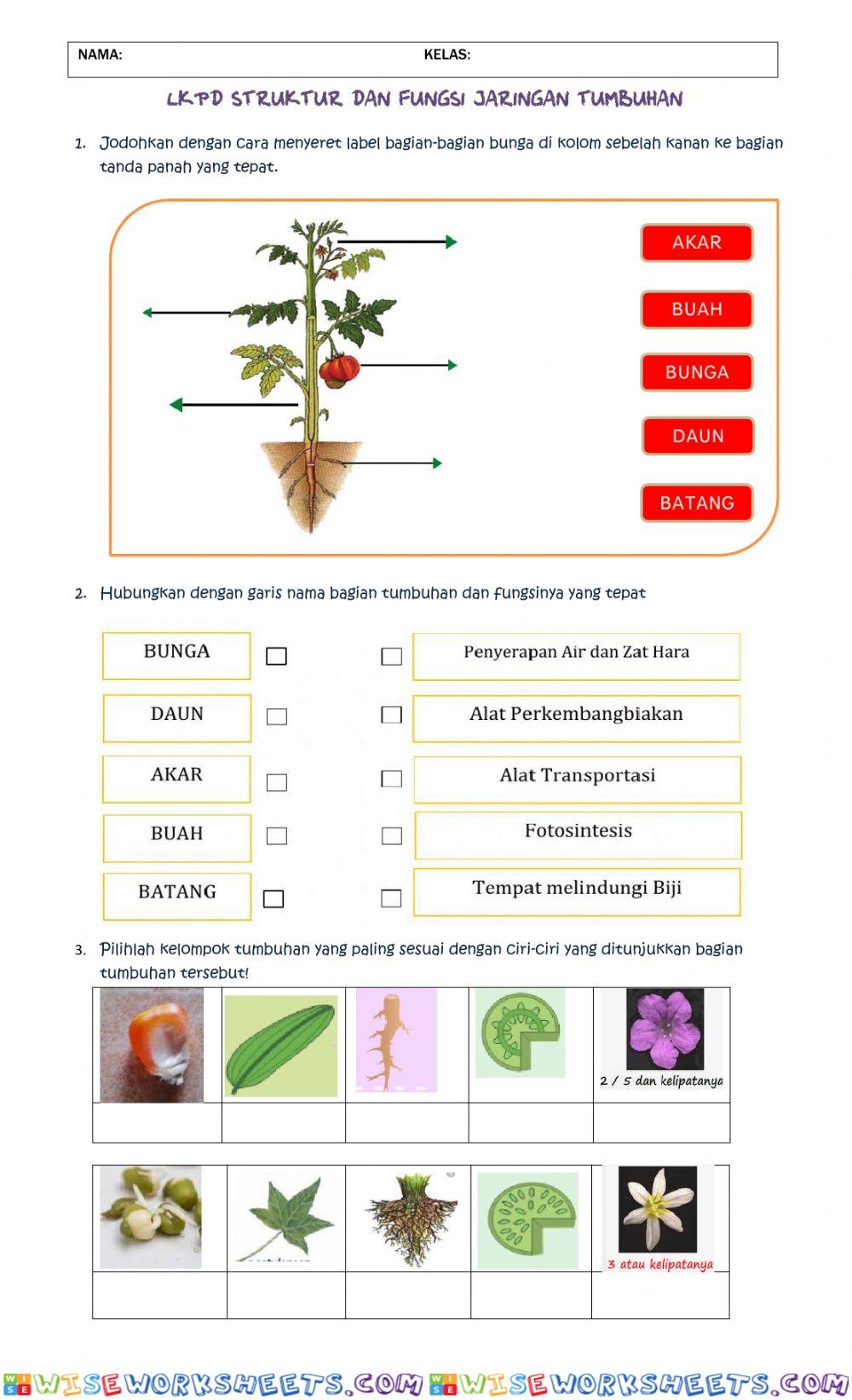 worksheet