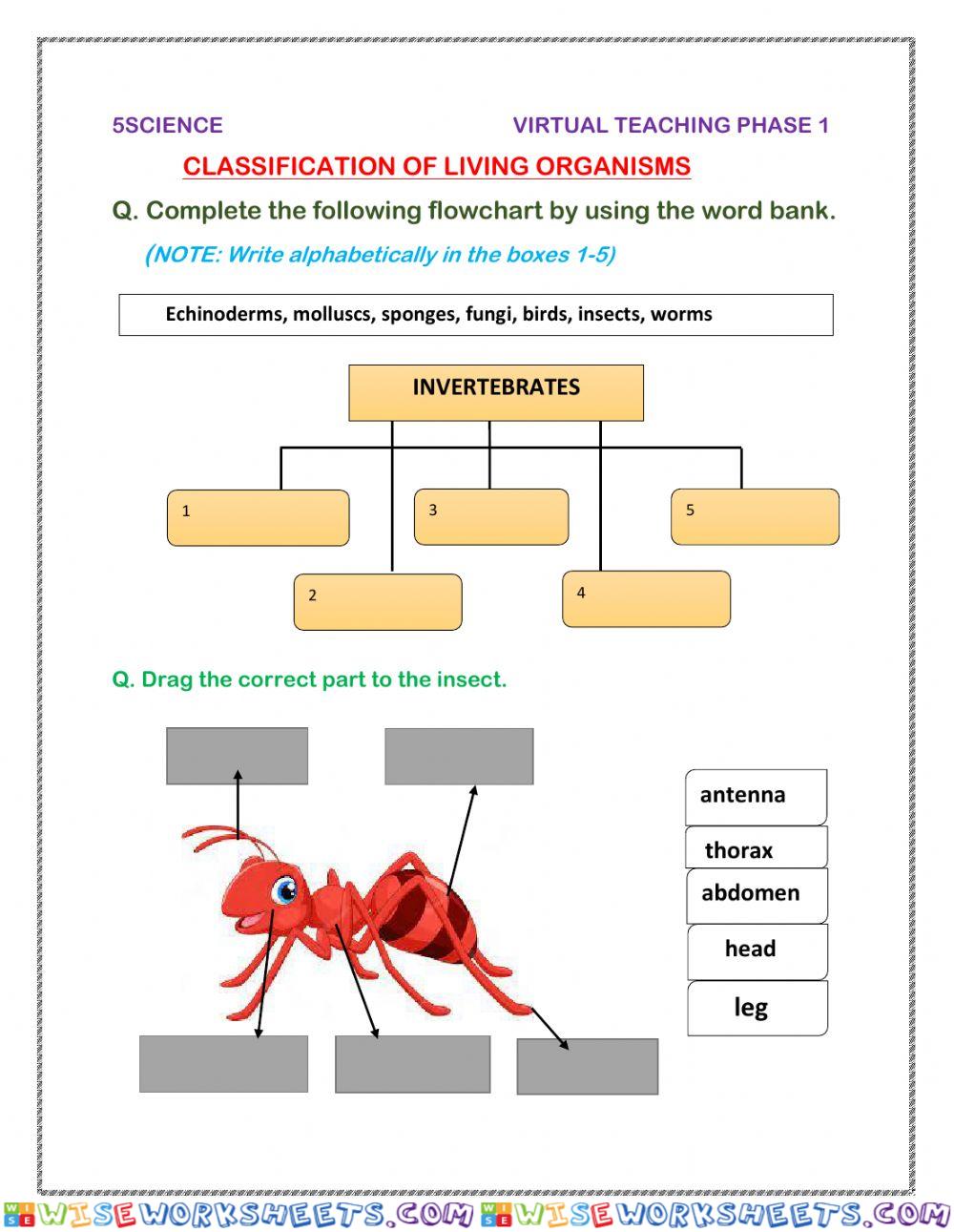 Classification of living organisms