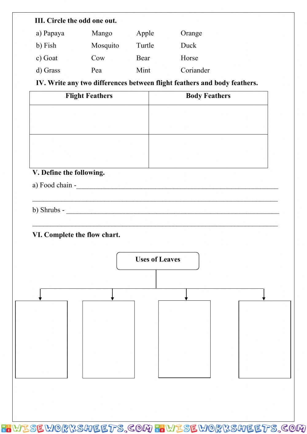 worksheet