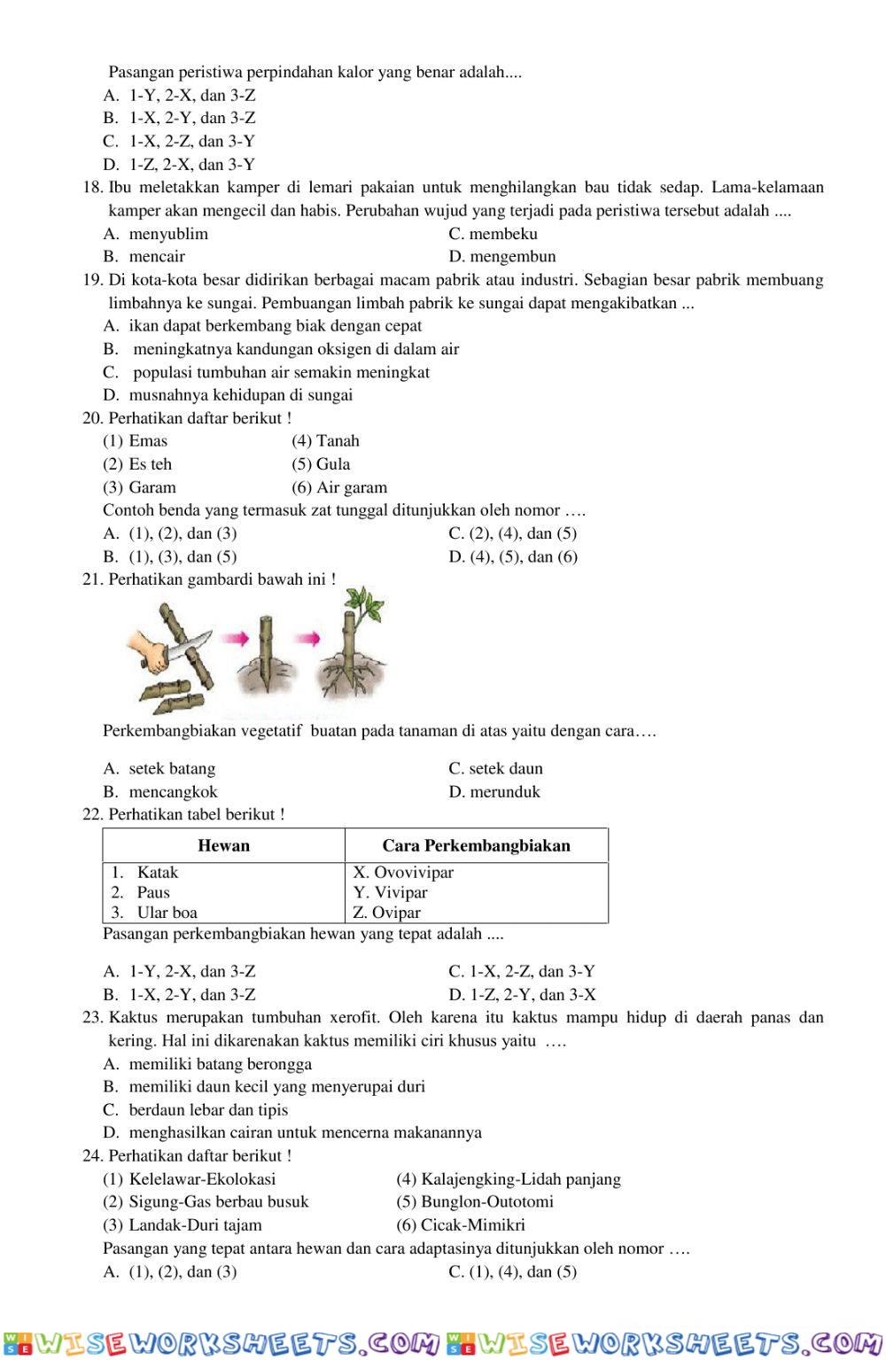 worksheet