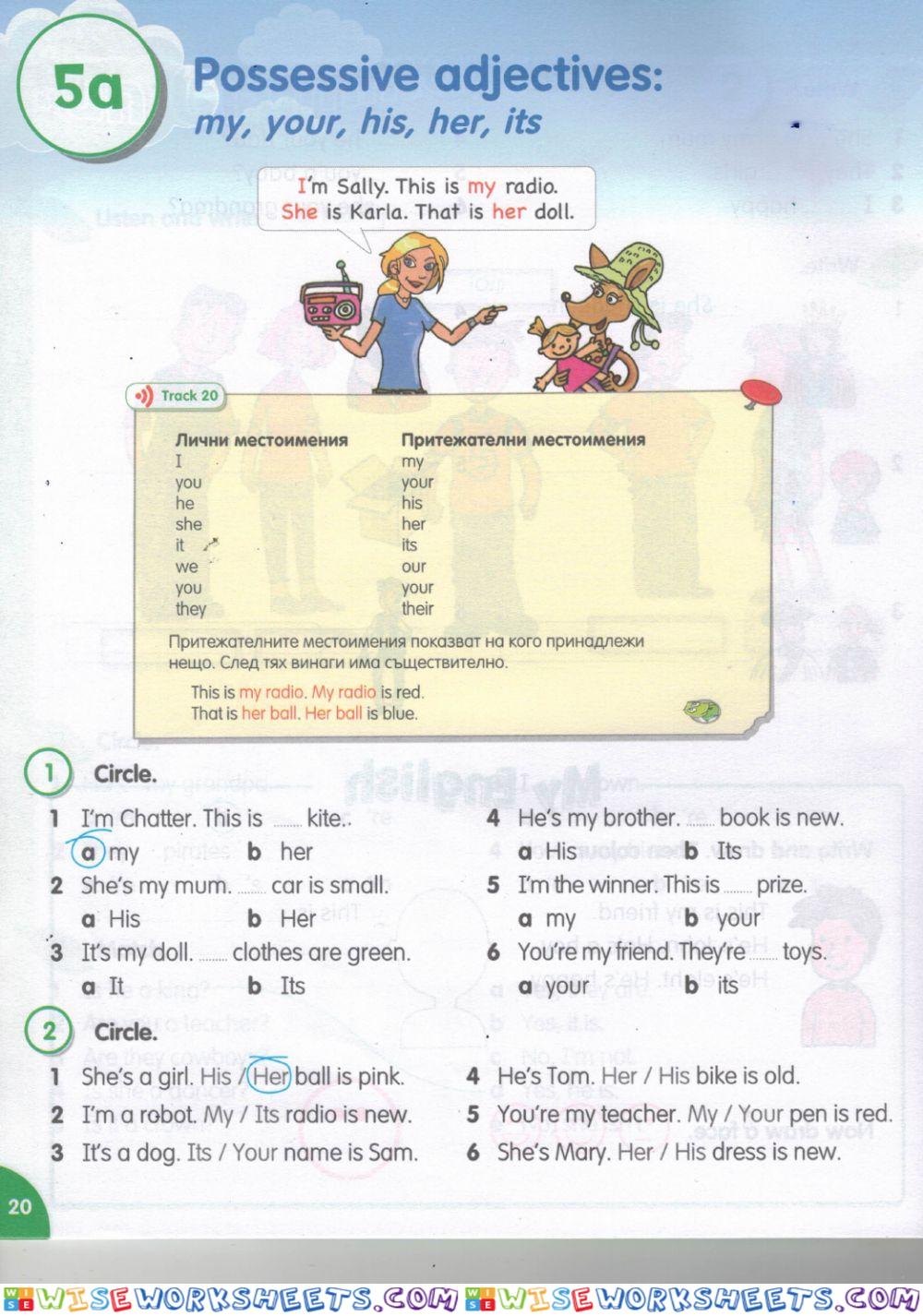 Possessive Adjectives