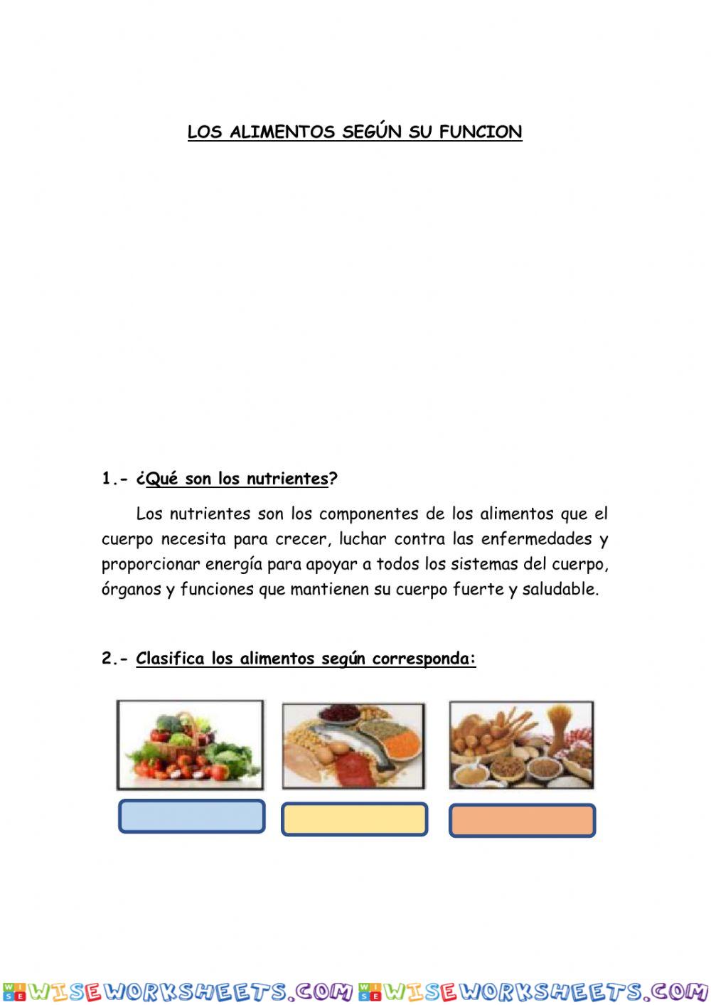 Los alimentos segun su funcion