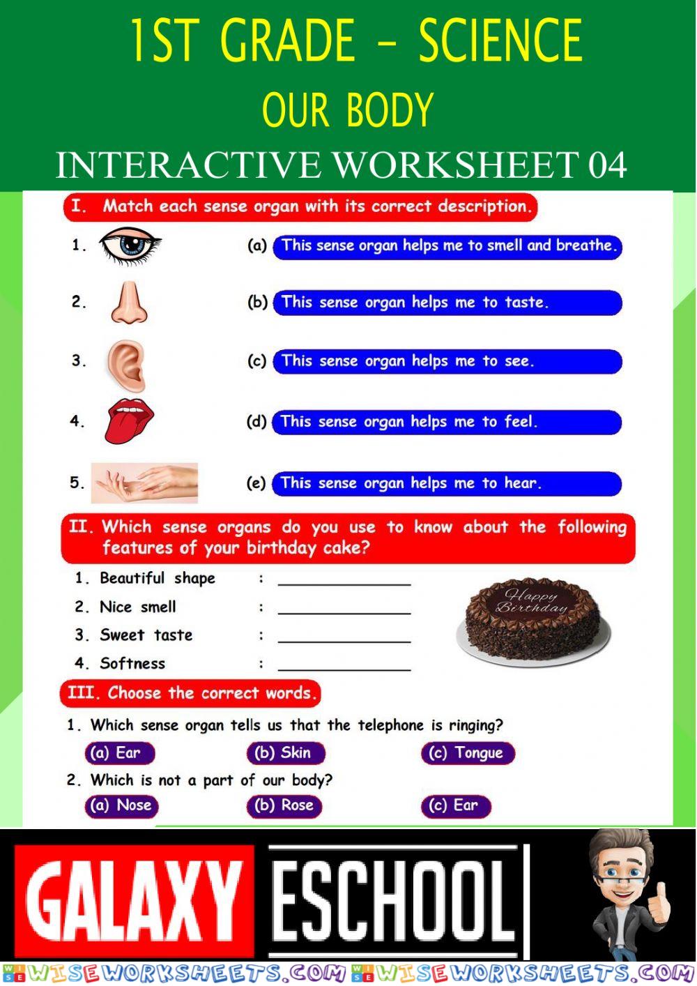 worksheet