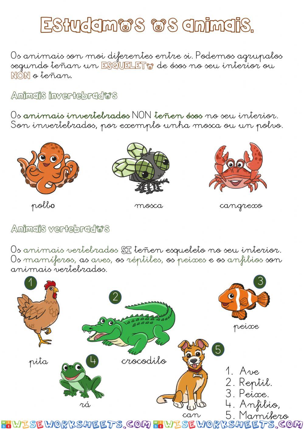 Vertebrados e invertebrados