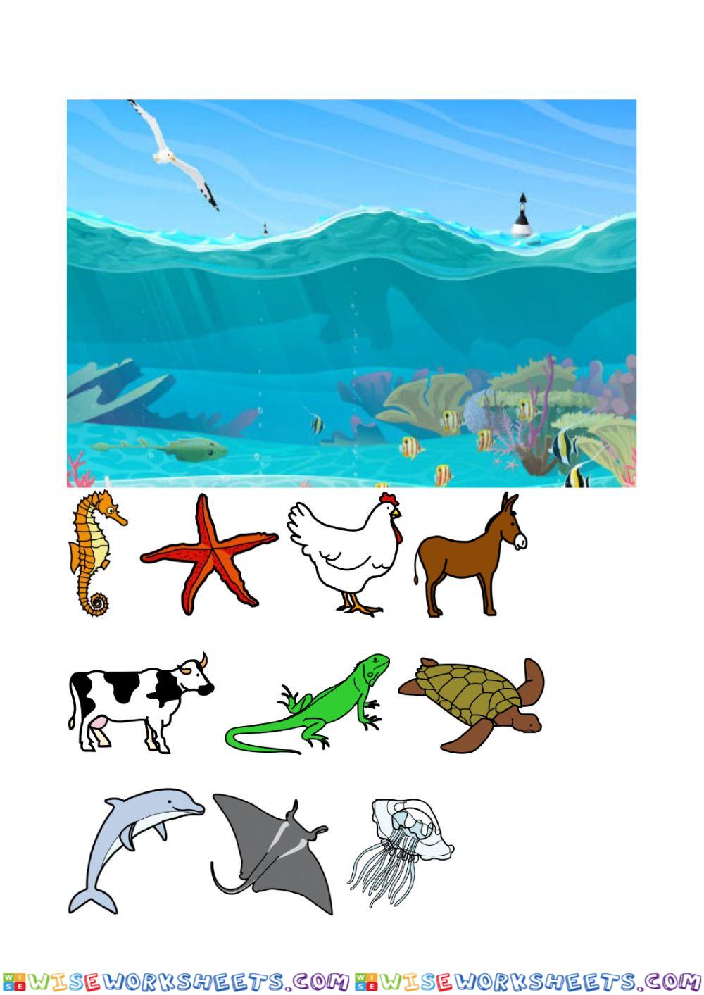 Los animales del mar