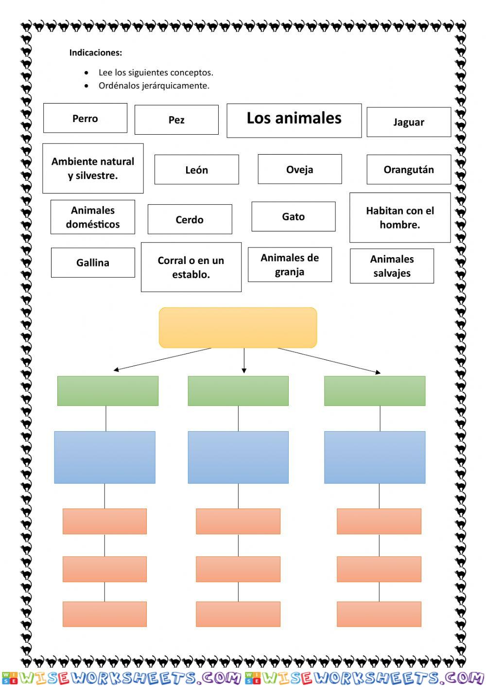 Clasificación de los animales