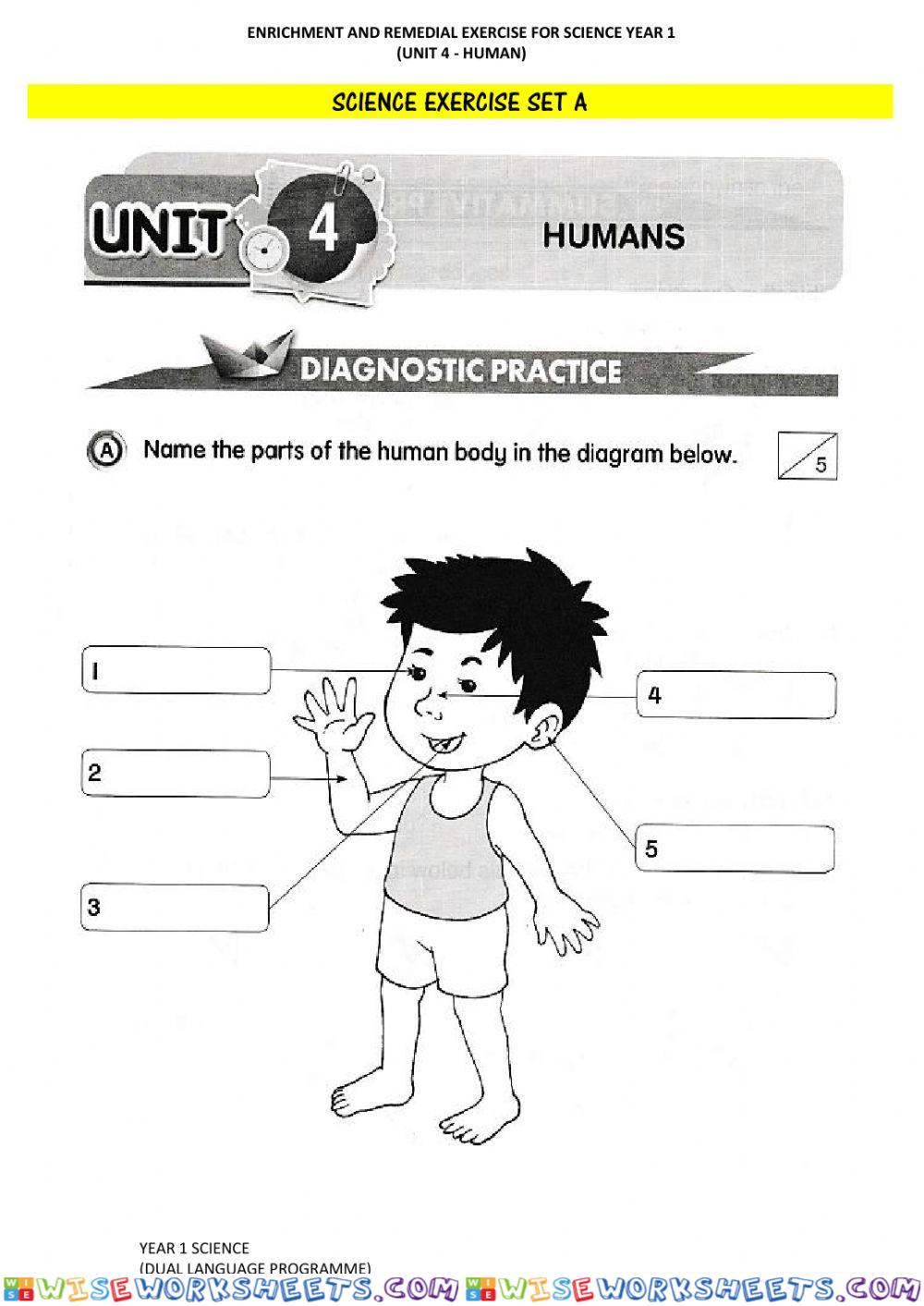 Human's Five Senses (Diagnostic Set)