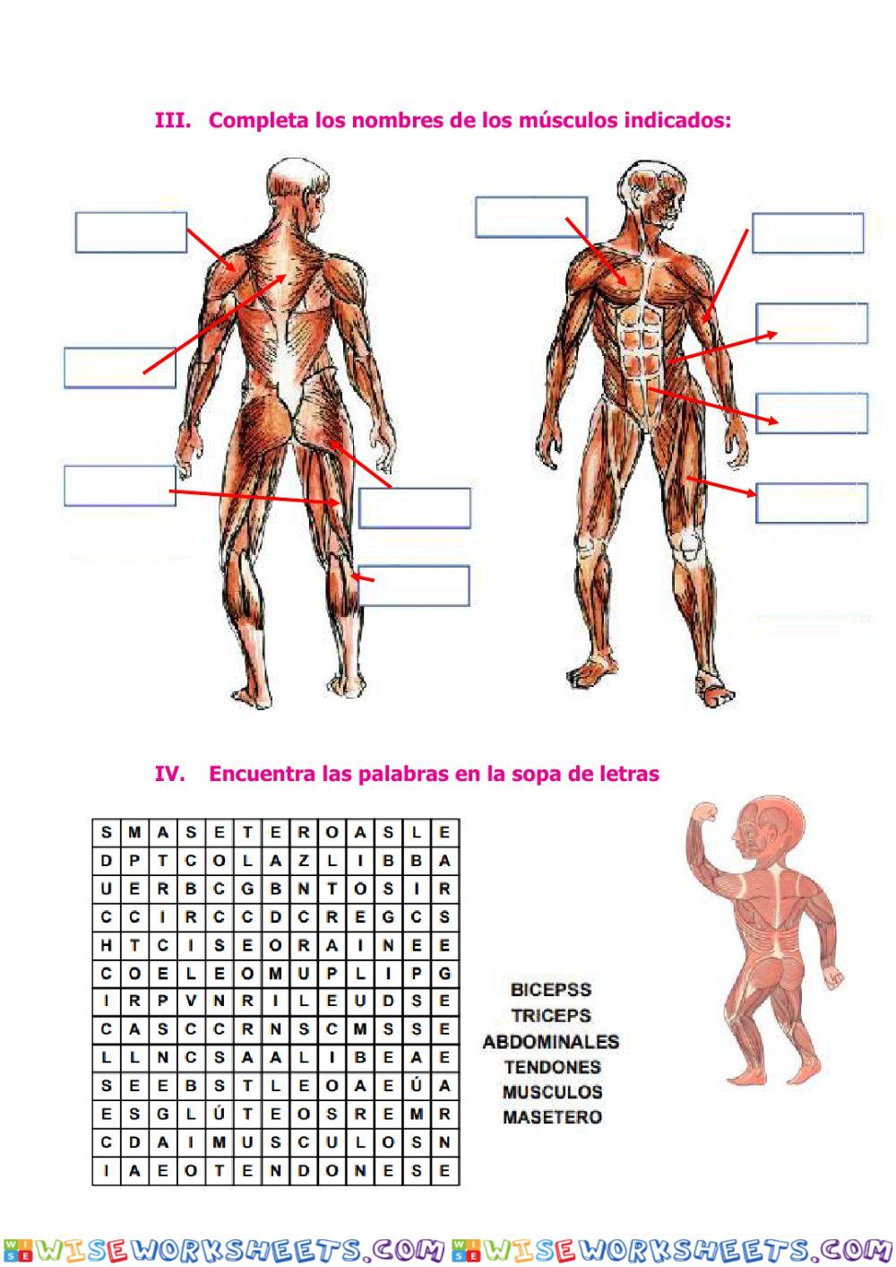 worksheet