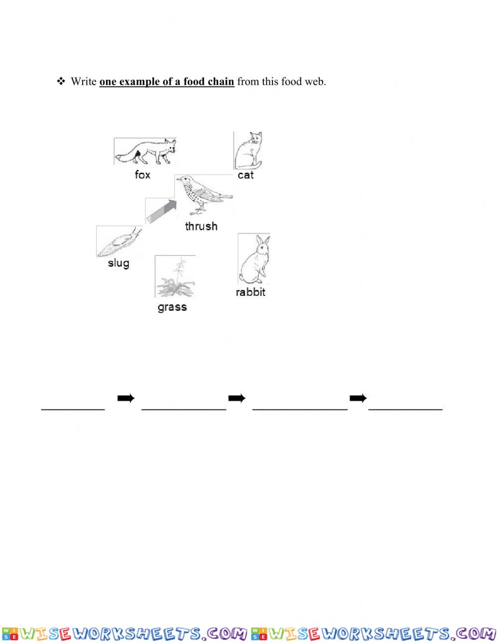 worksheet