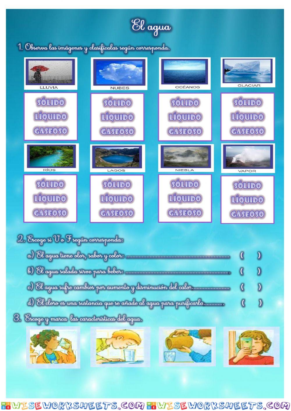 El agua y sus características