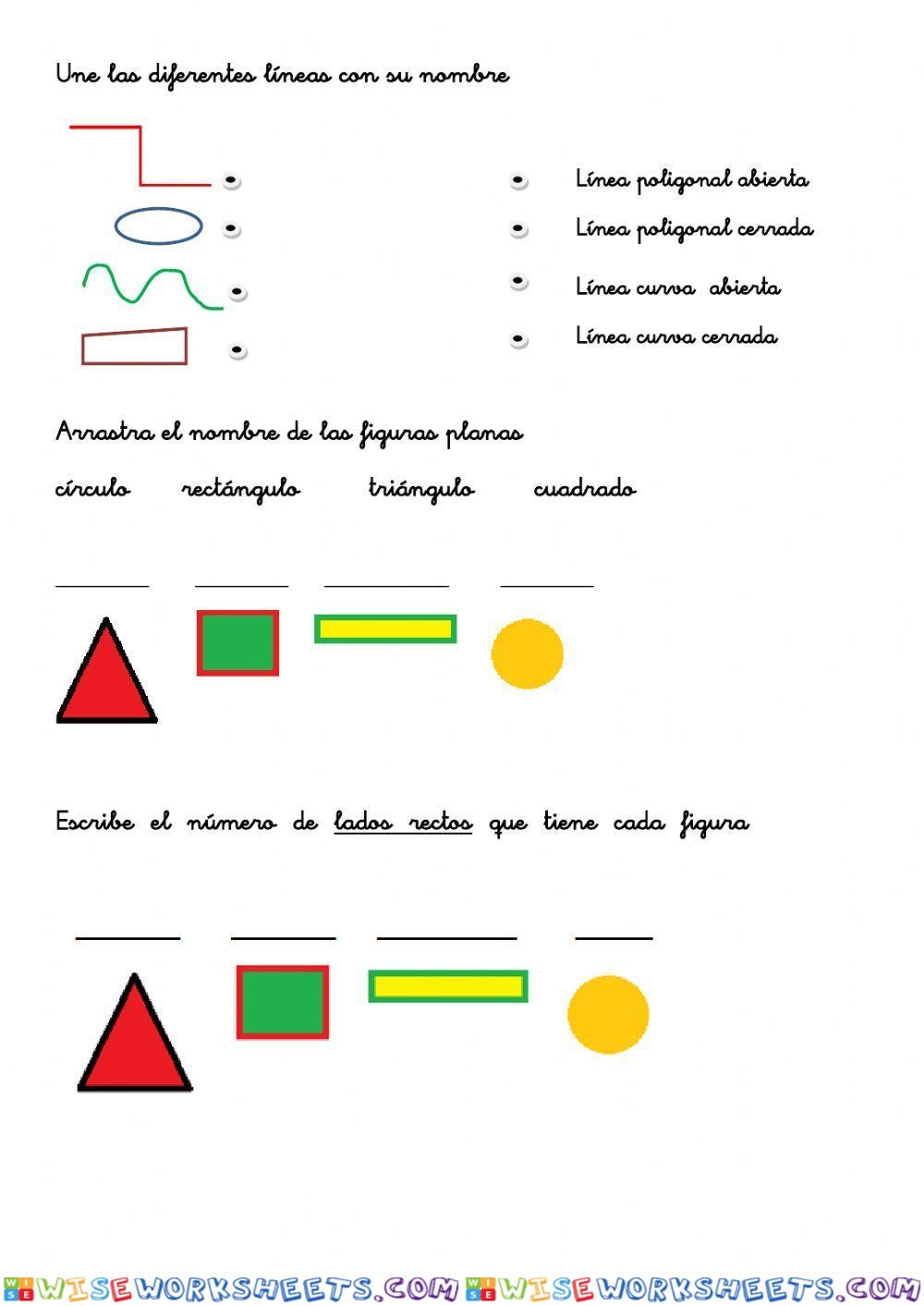 Las figuras circulares y otros no polígonos. - Líneas rectas, curvas y mixtas.