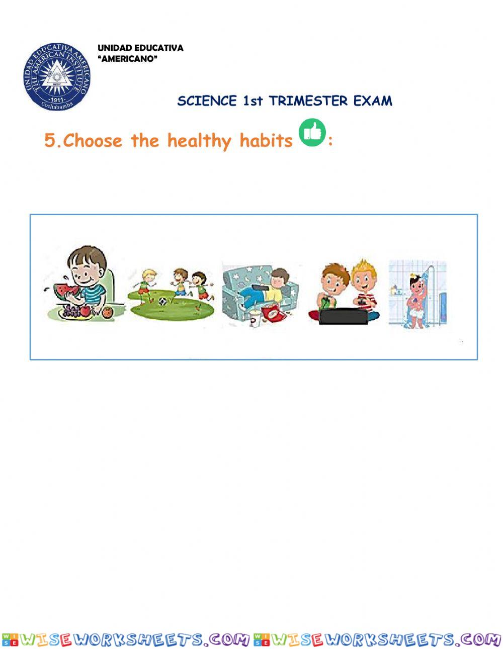 worksheet