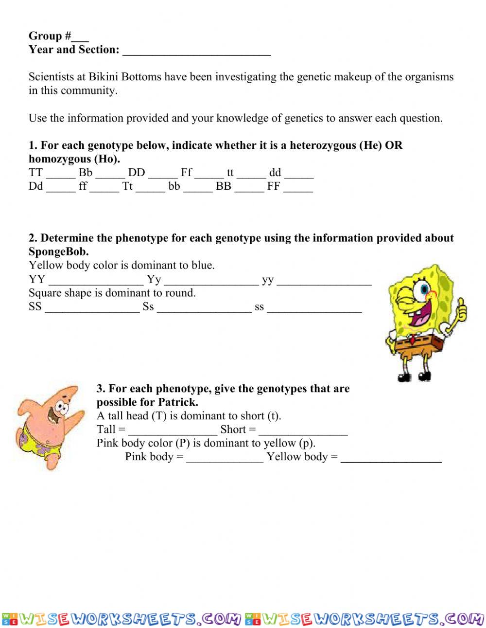 Phenotype and Genotype