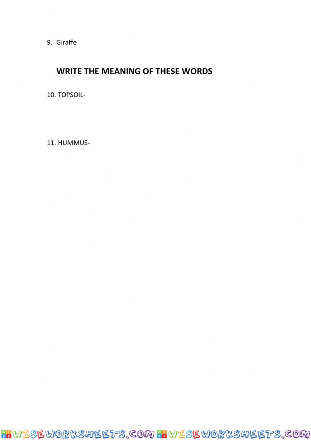 worksheet