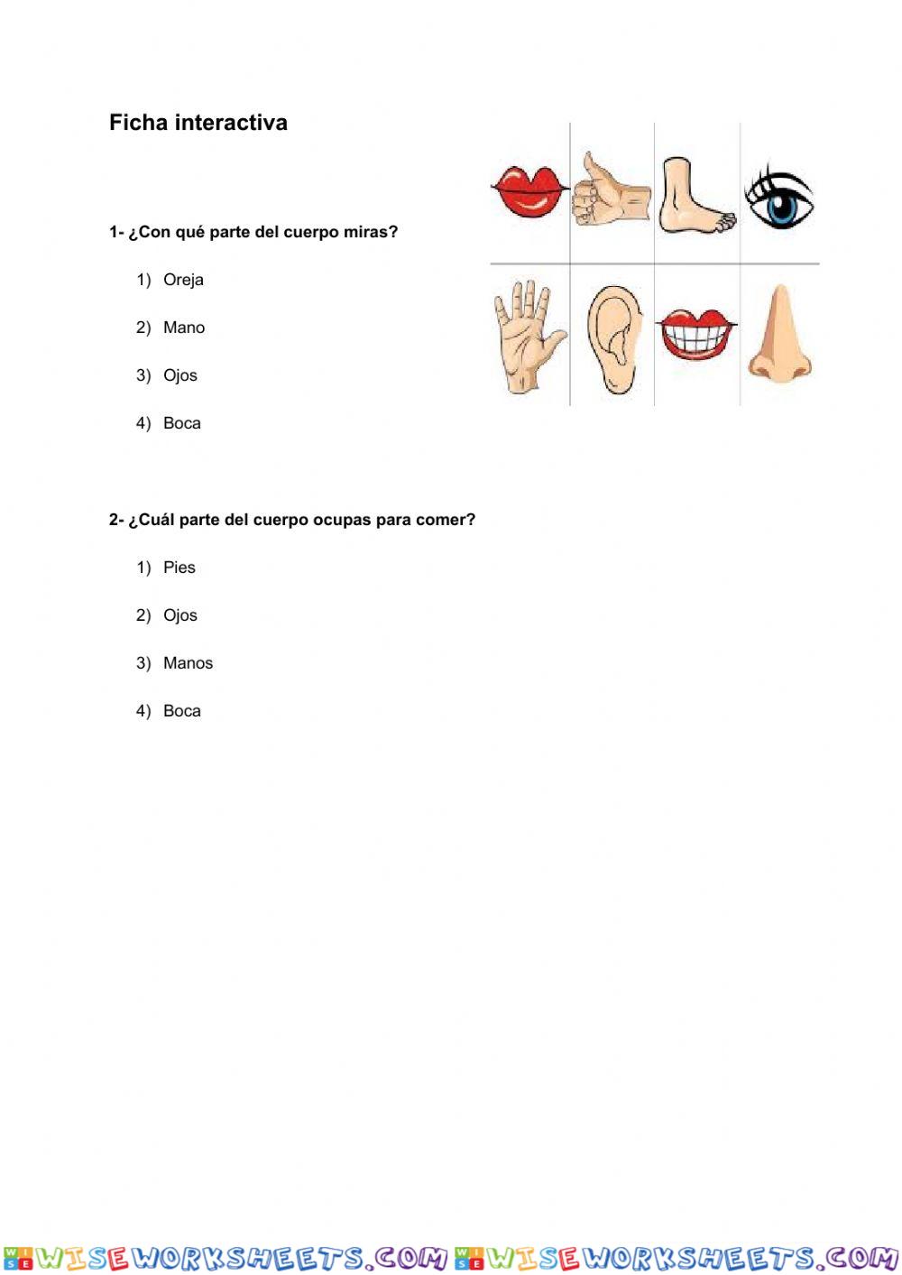 Partes del cuerpo