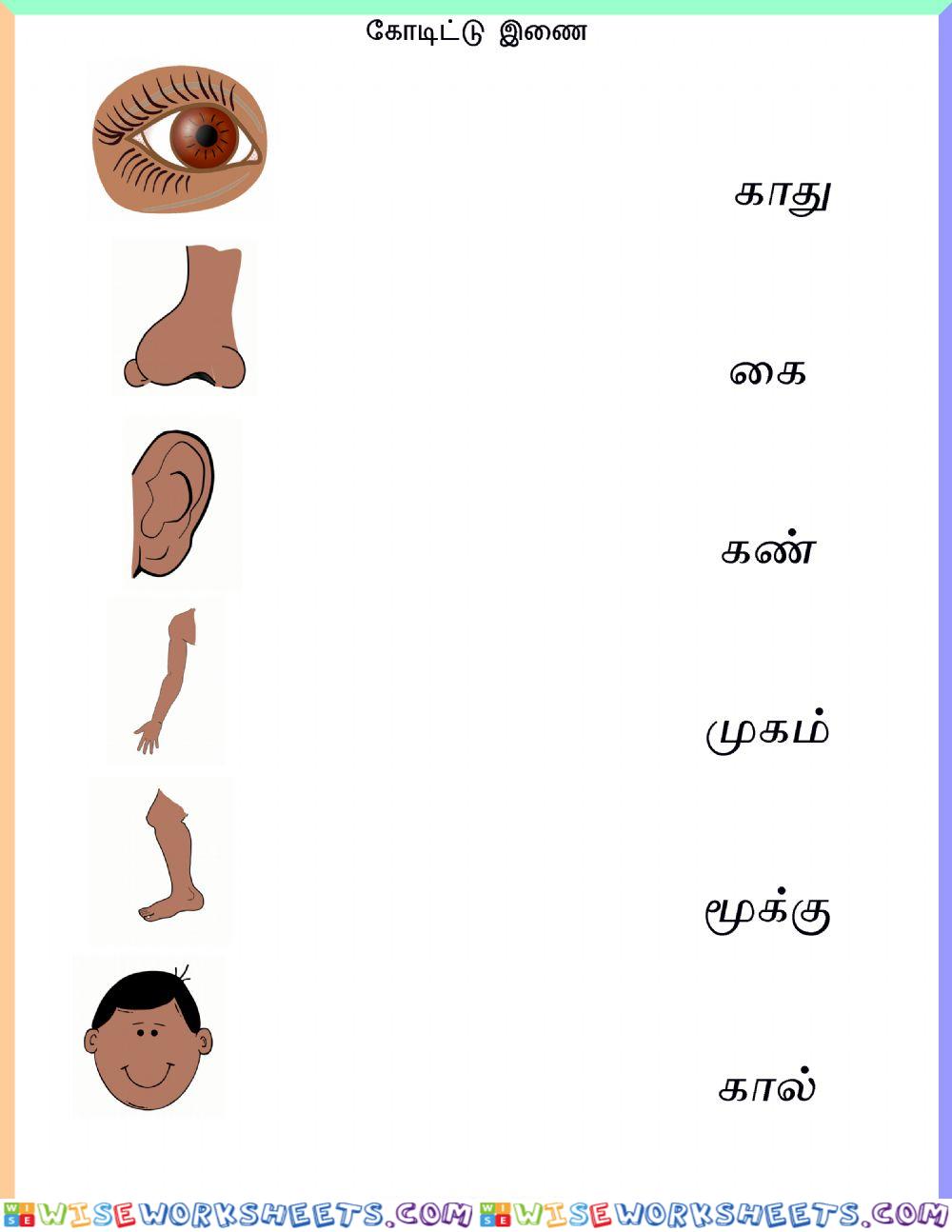 Tamil match