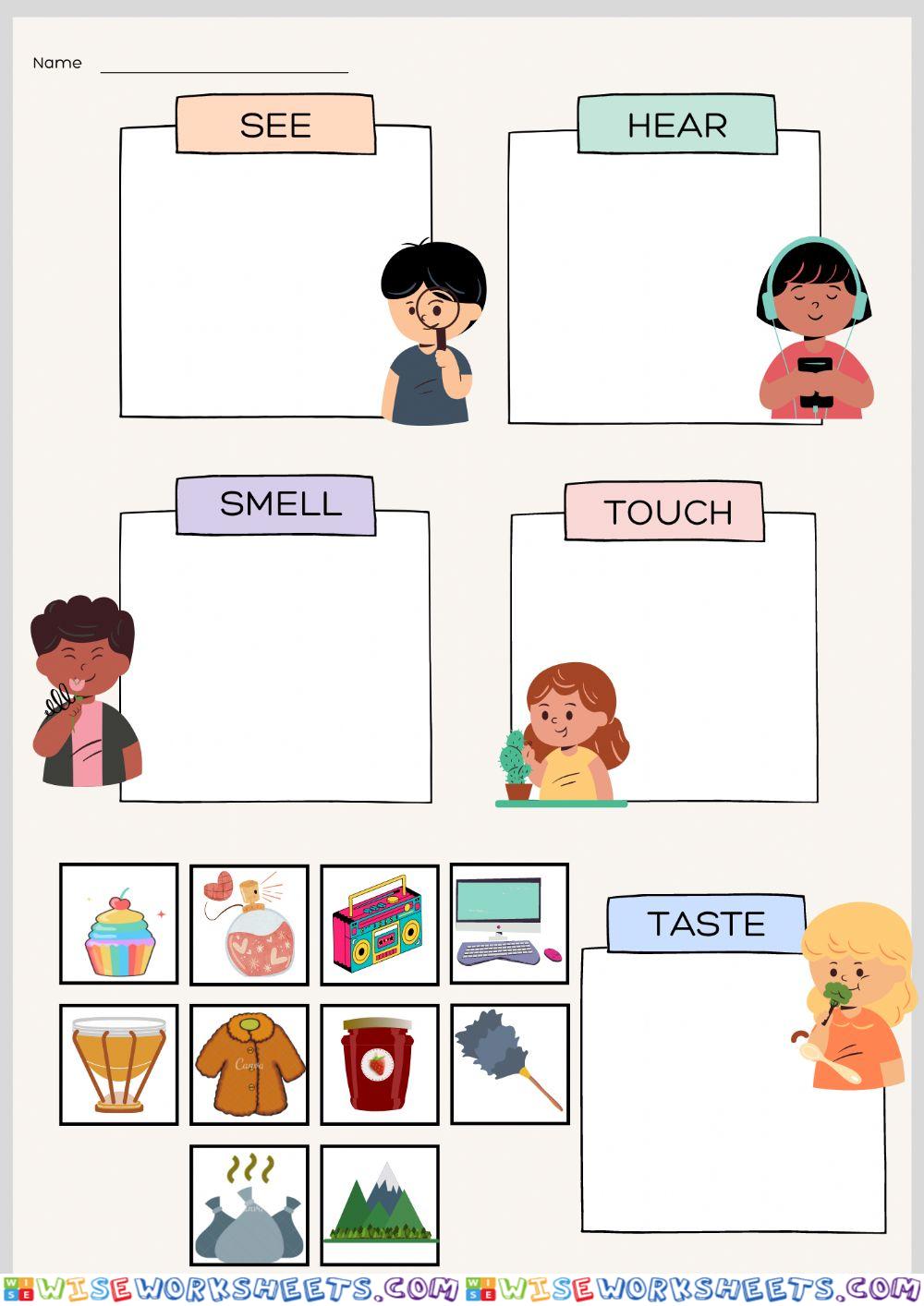 5 senses