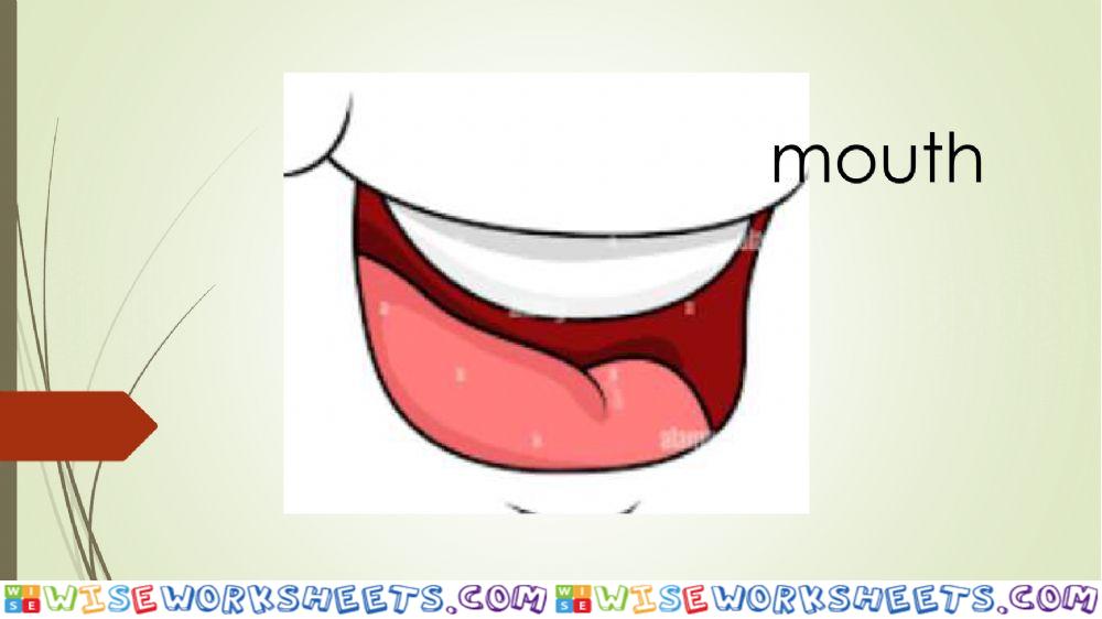 worksheet