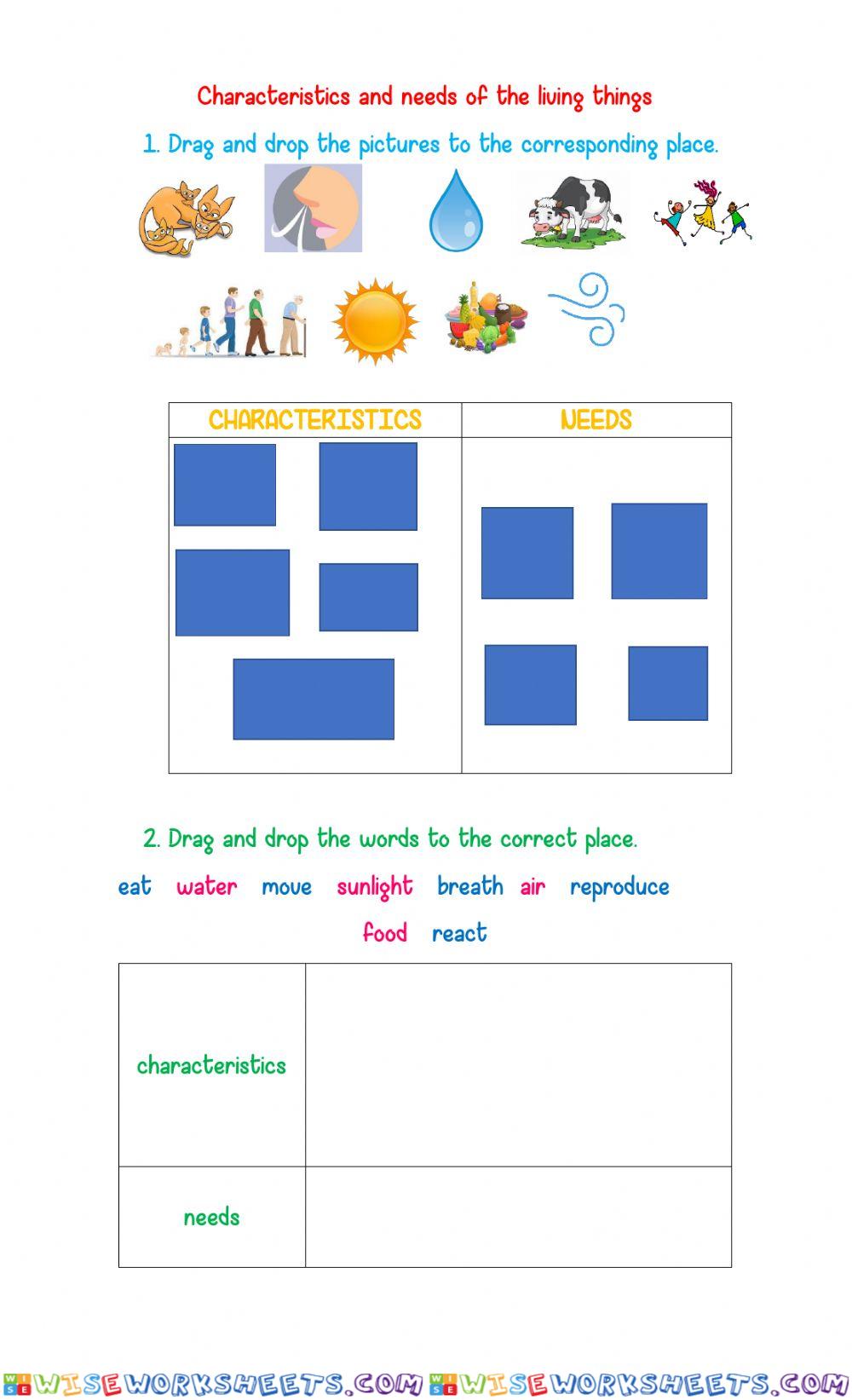 Living thing needs and characteristics