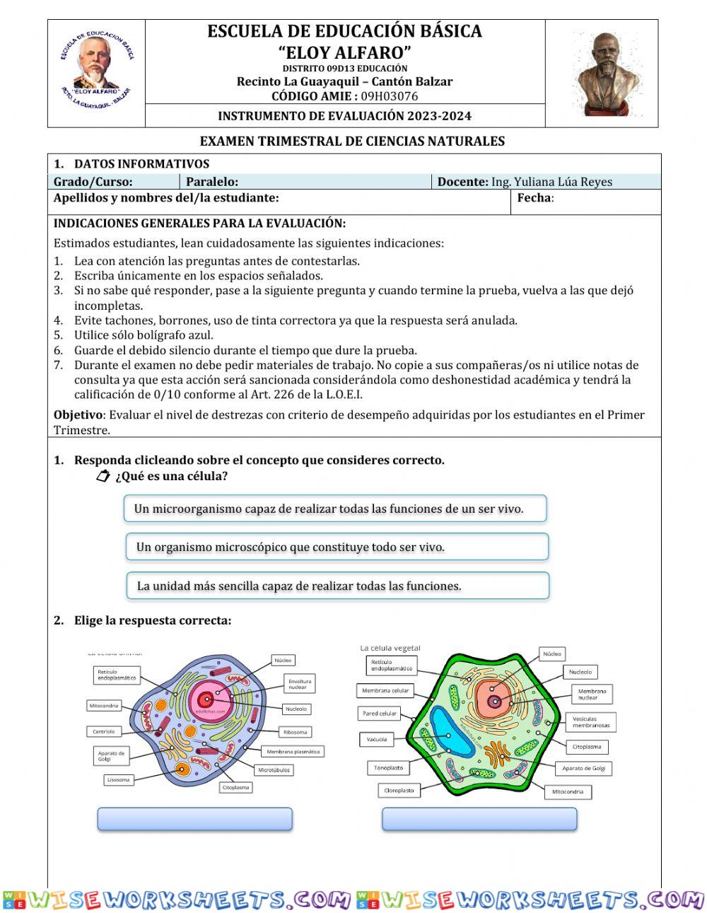 Examen primer trimestre novenos