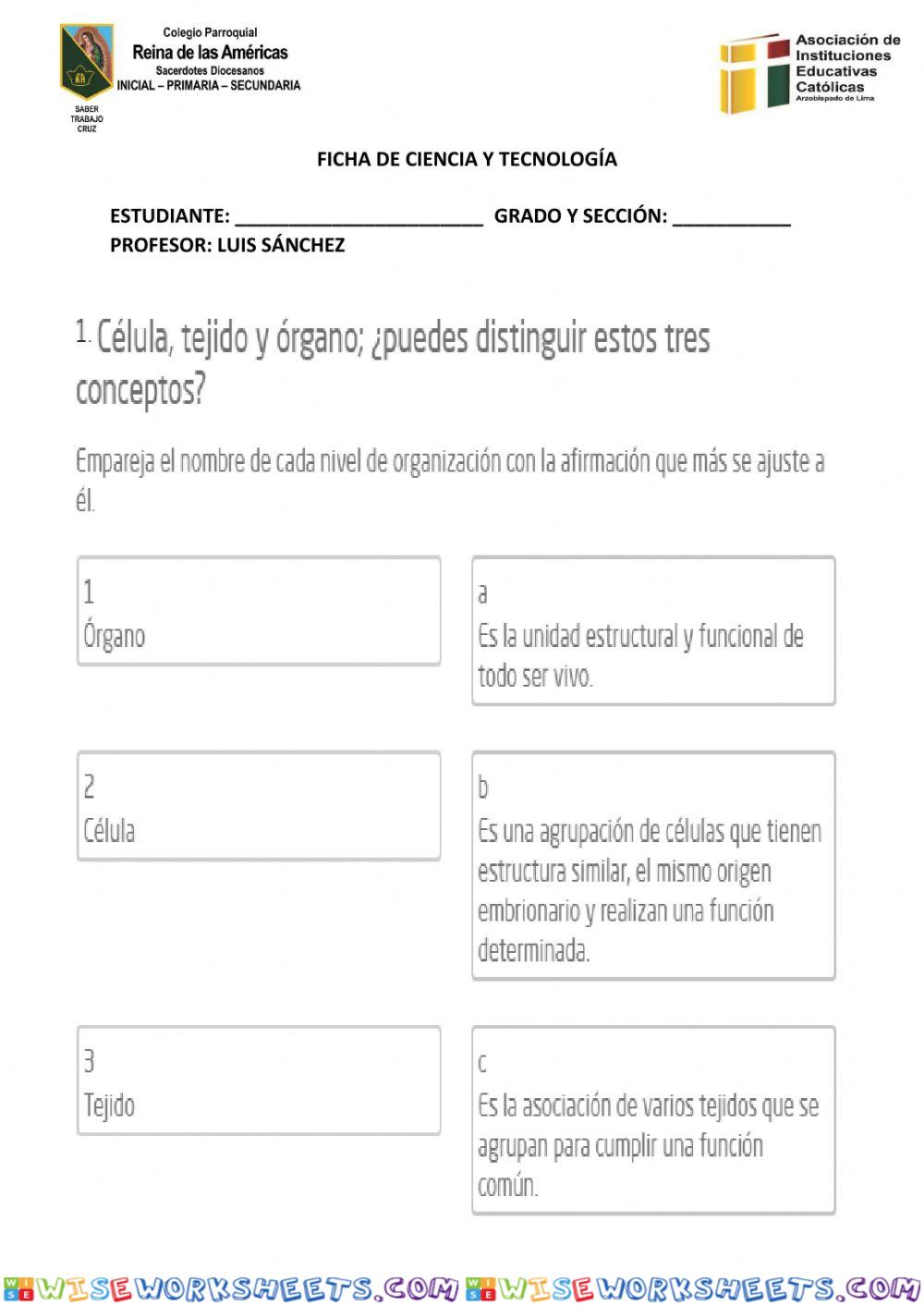 Organización de los seres vivos