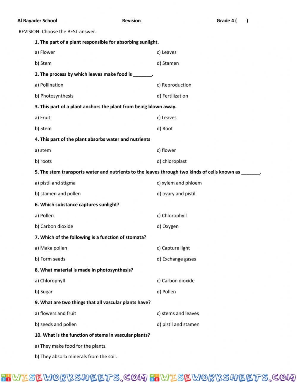 Plants revision