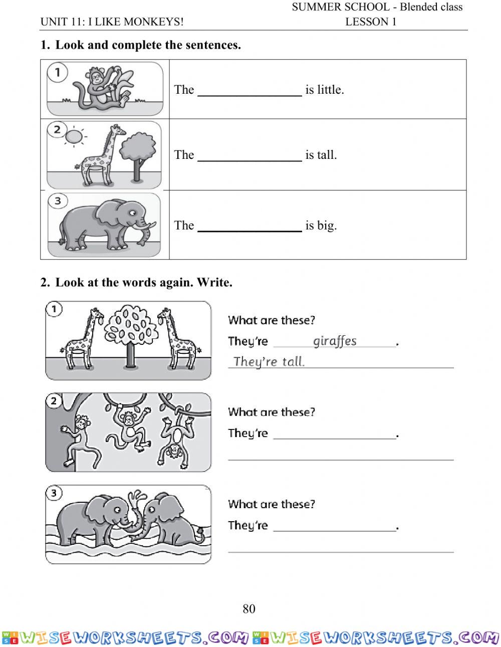 worksheet