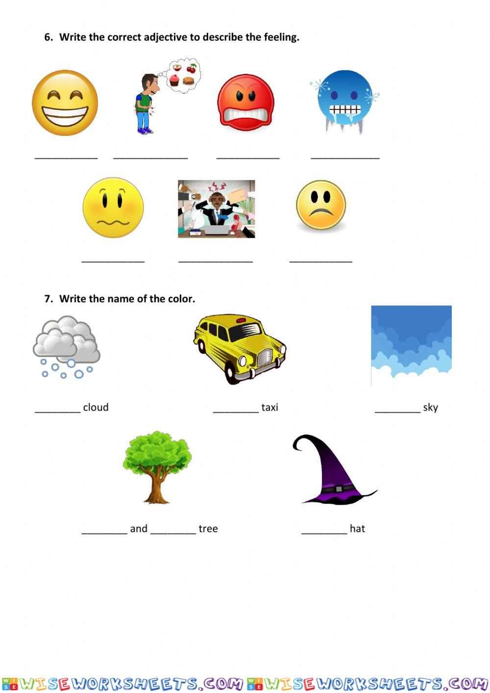 worksheet