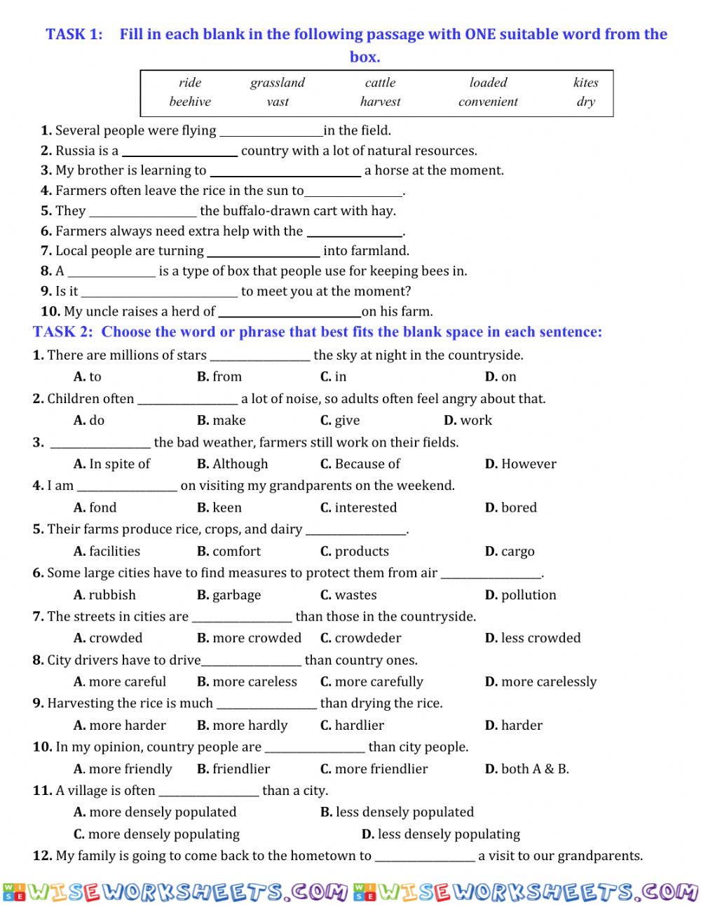 worksheet