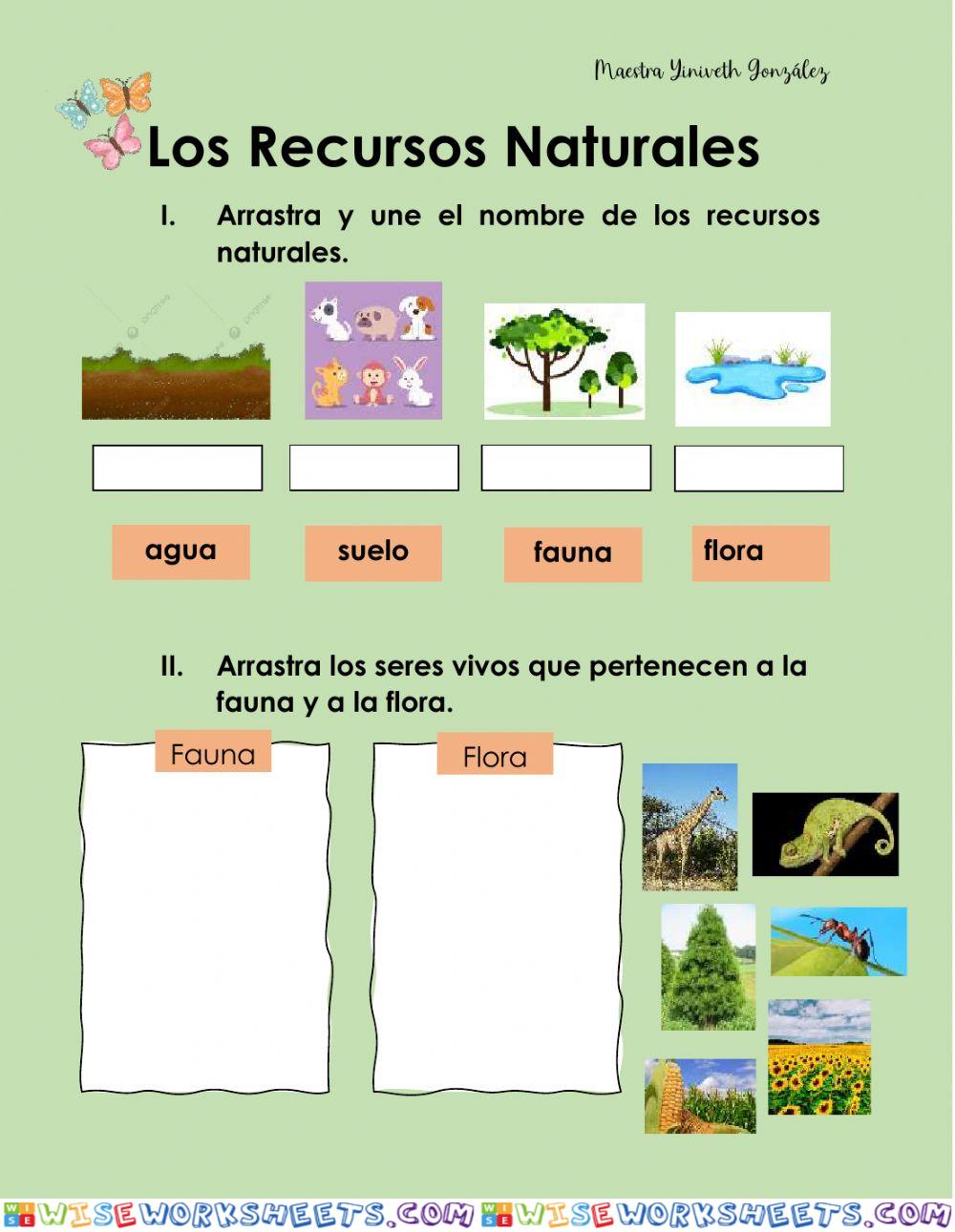 Los Recursos Naturales