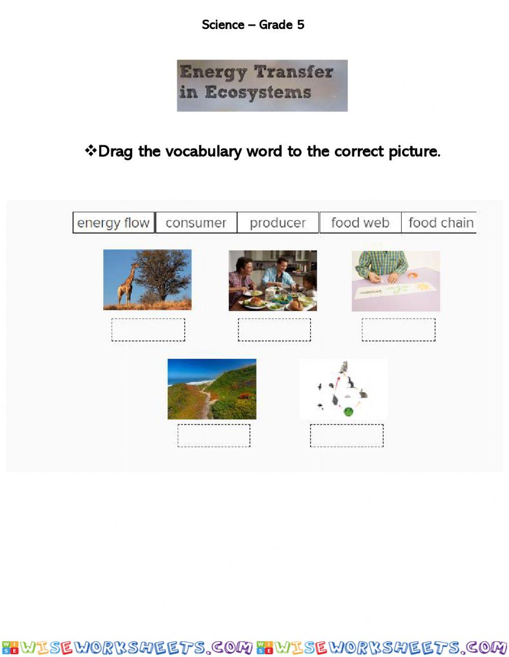 Lesson 3 - Vocabulary