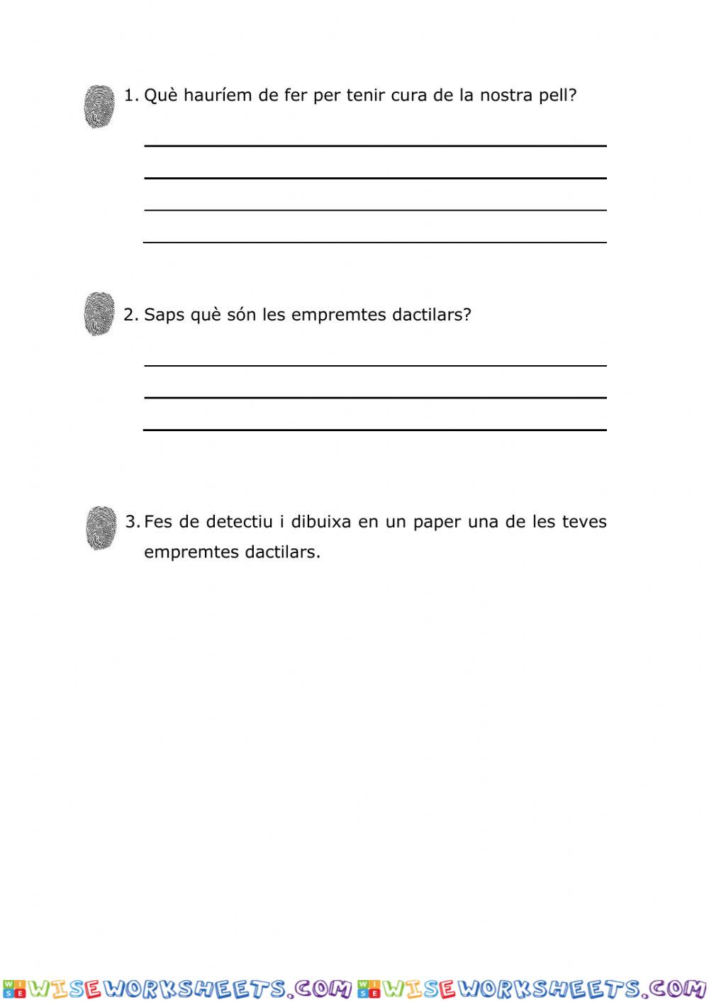 worksheet