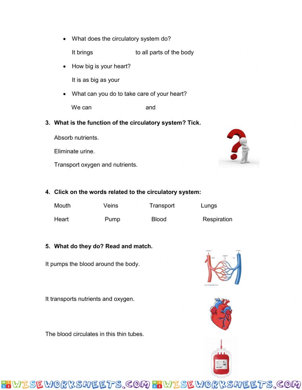 worksheet
