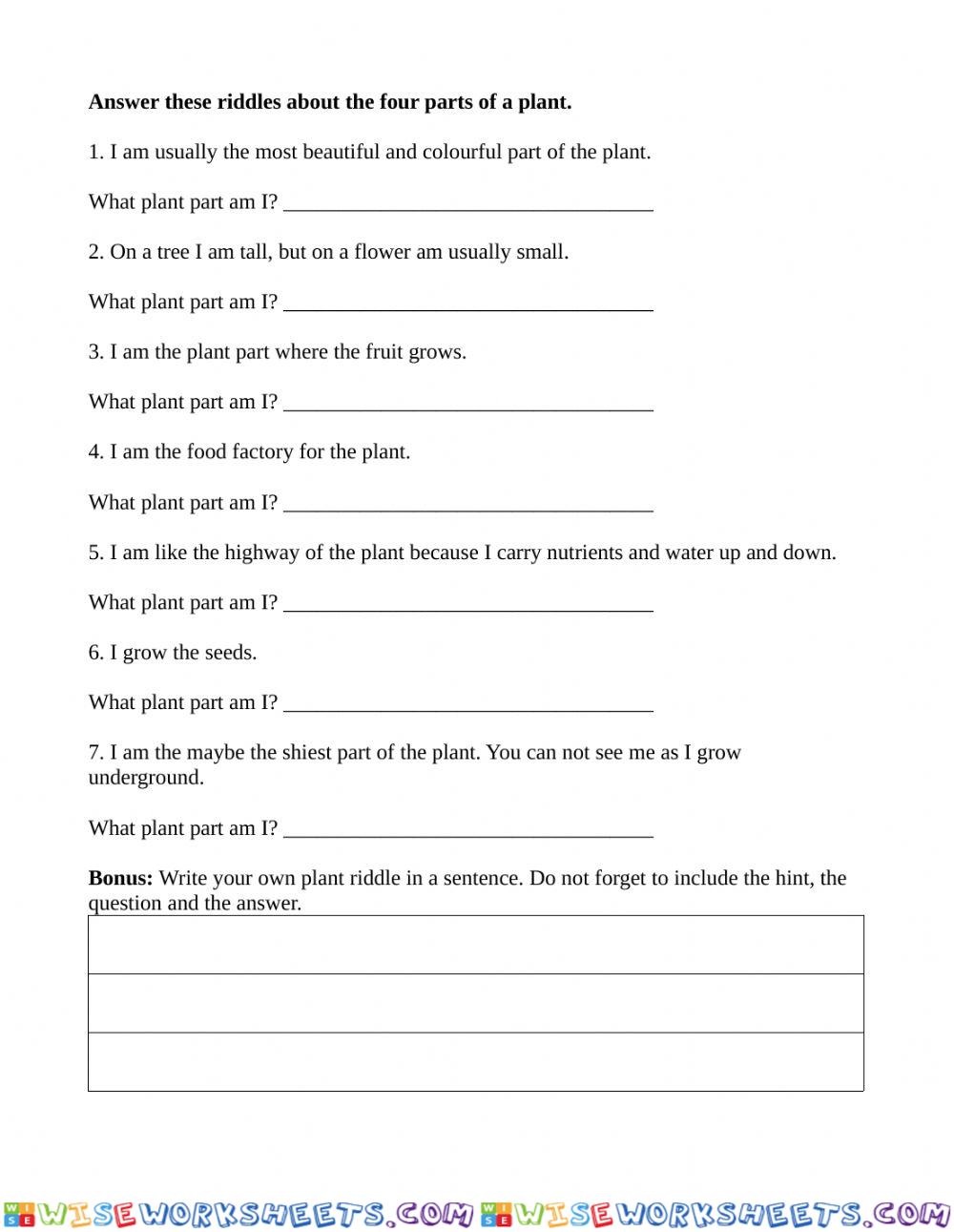 worksheet
