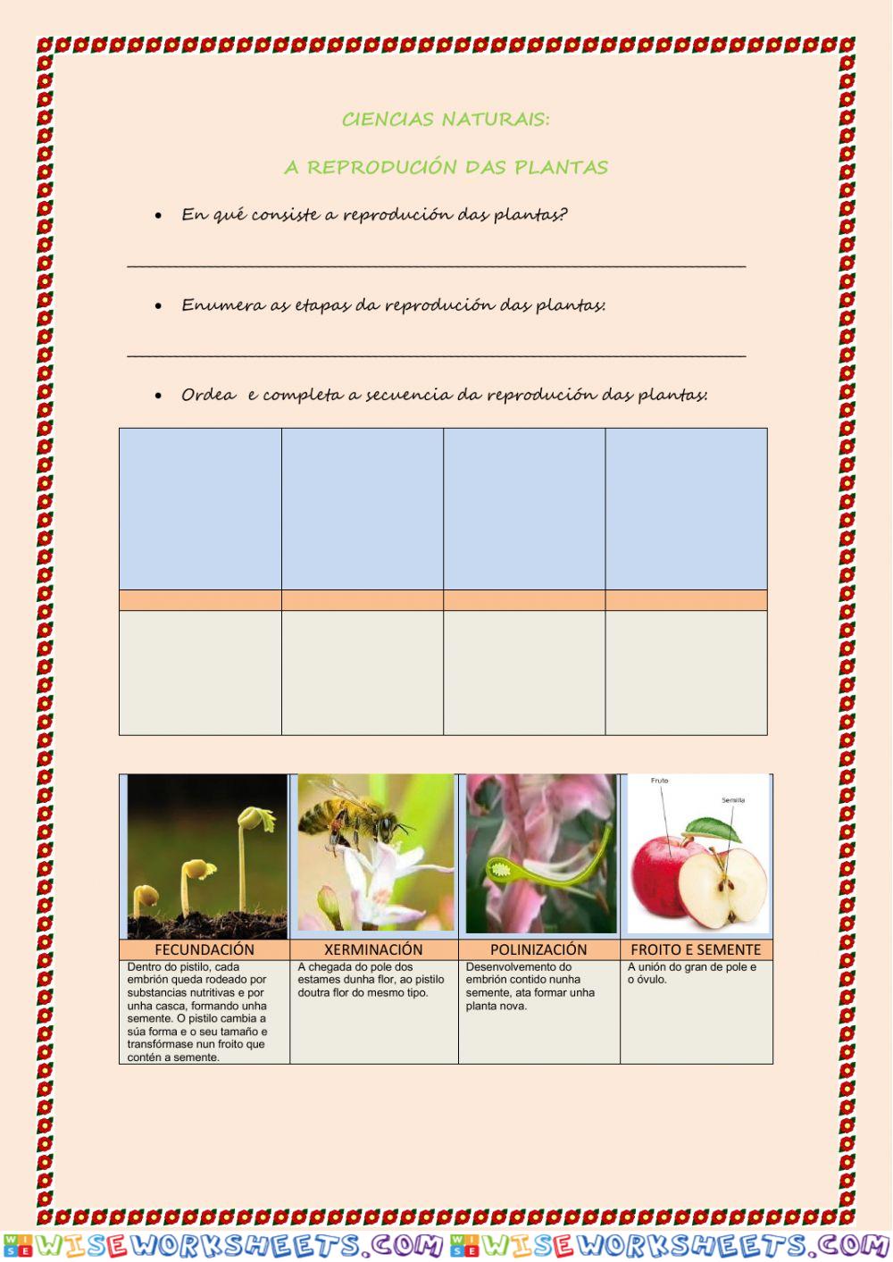 As plantas: función de reprodución