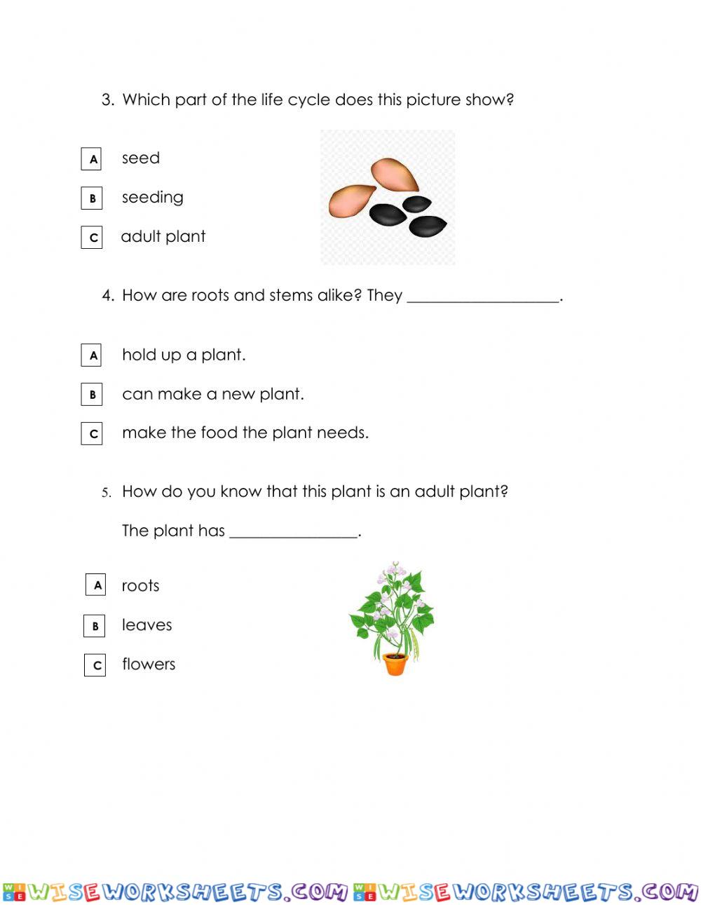 worksheet