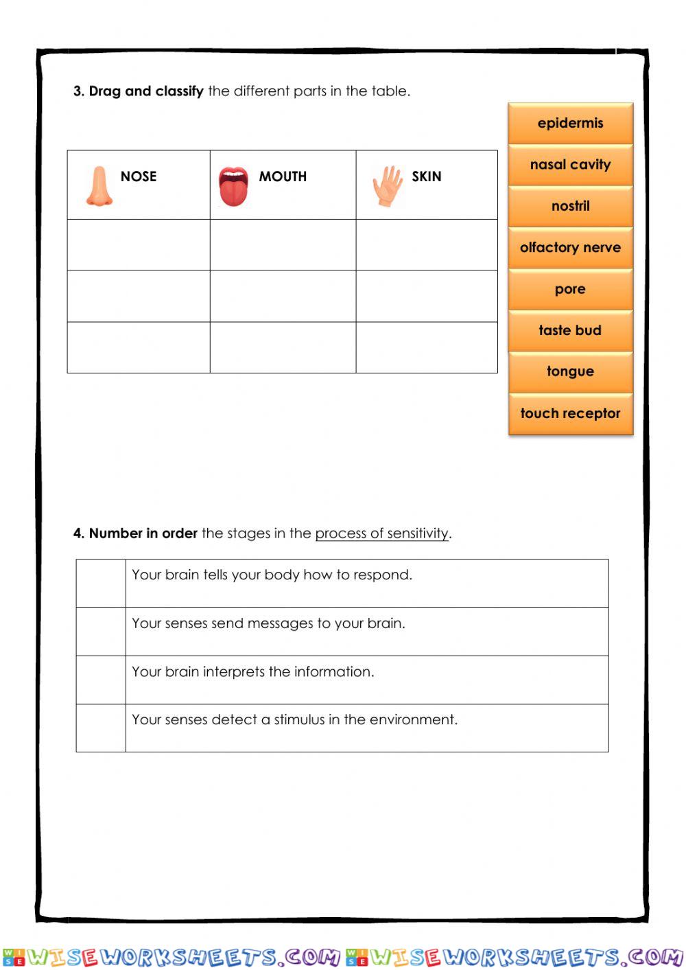 worksheet