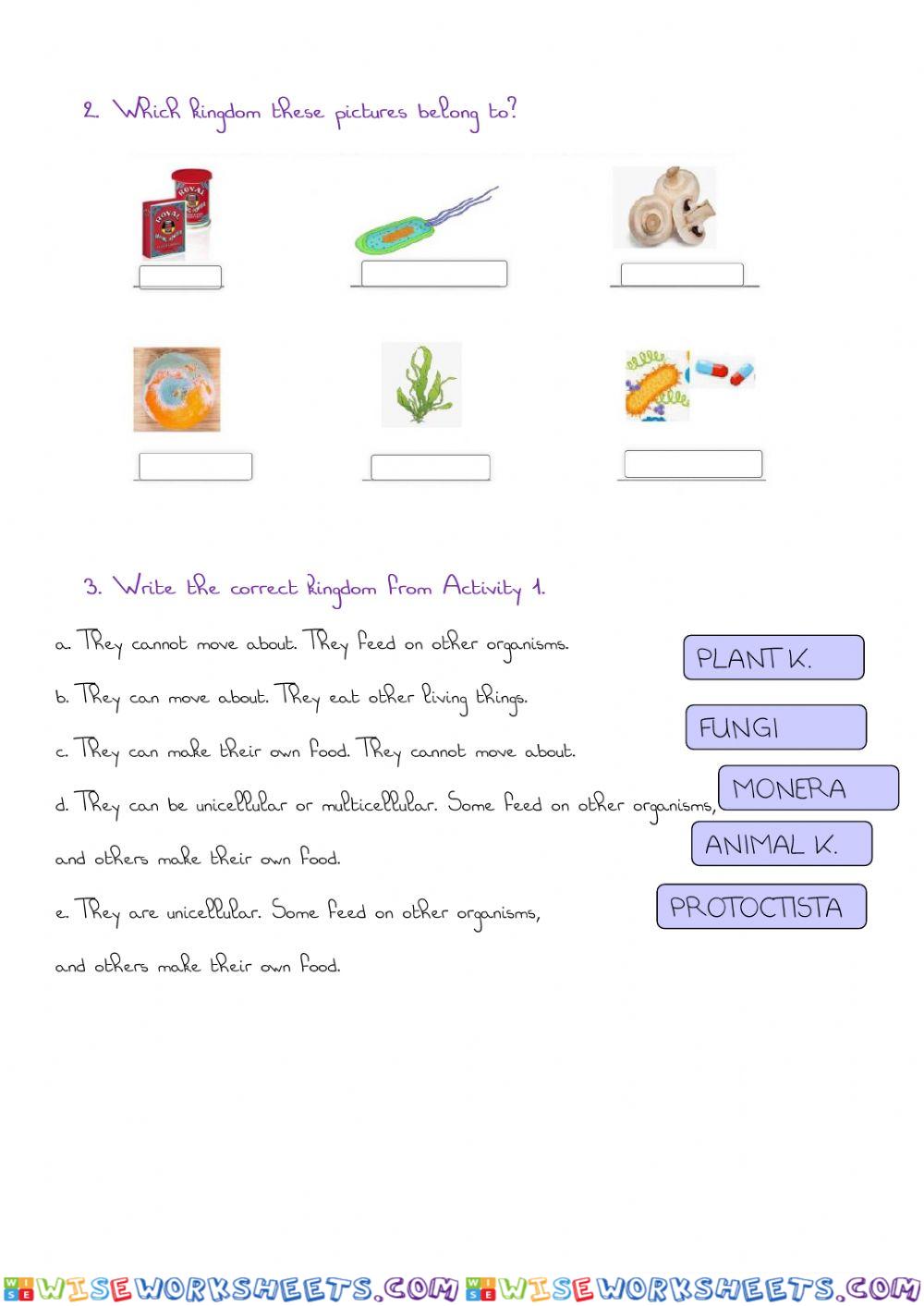 worksheet