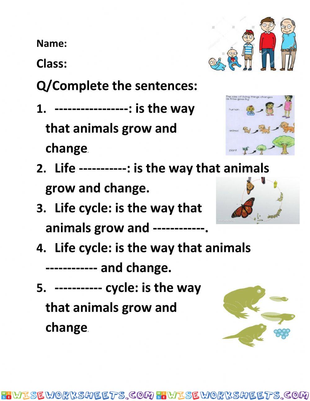 Life cycle