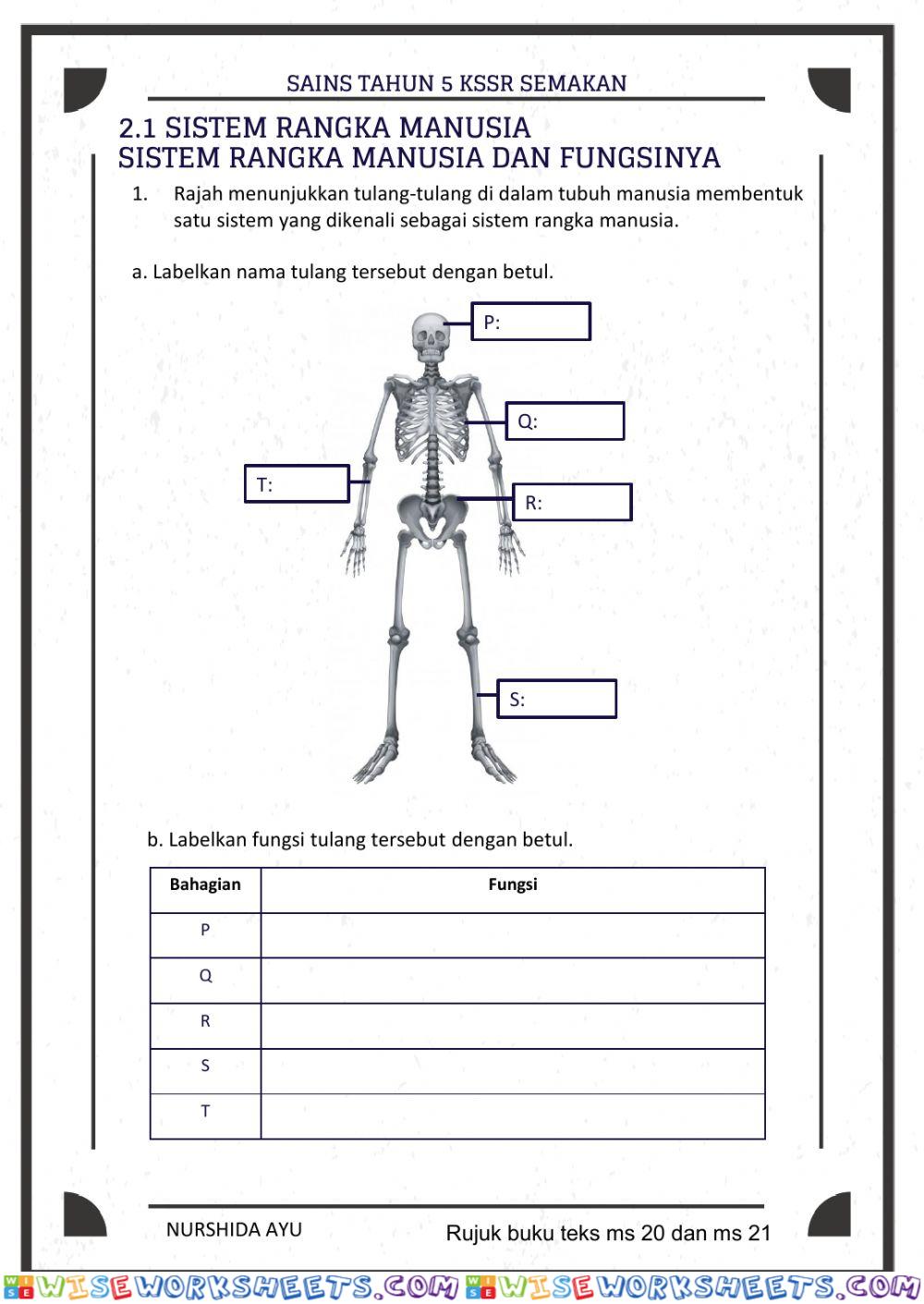 worksheet