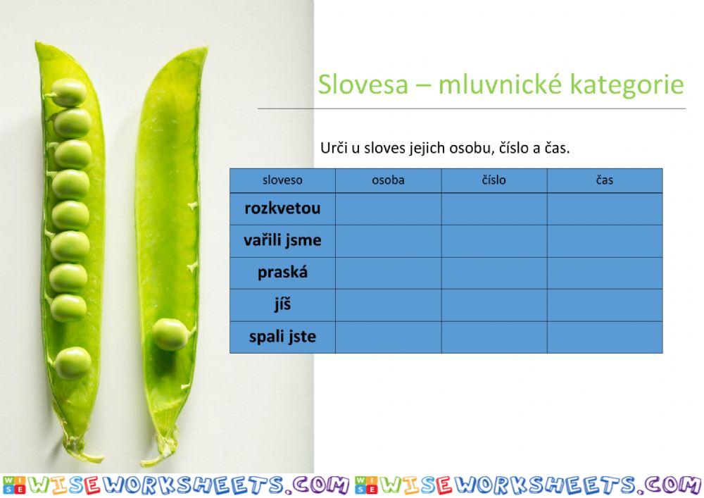 Slovesa - mluvnické kategorie 04